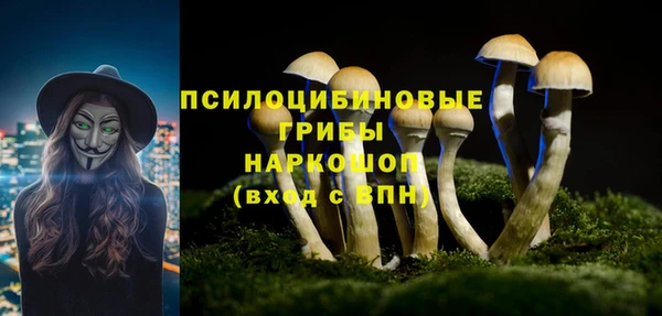 прущие крисы Алексеевка
