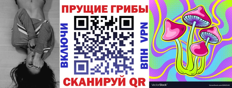 это наркотические препараты  Тюмень  Галлюциногенные грибы Psilocybe  купить  сайты 